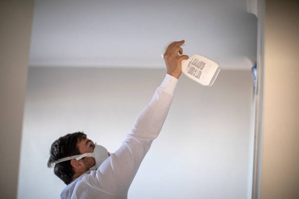 Best Residential Mold Remediation in Sam Rayburn, TX