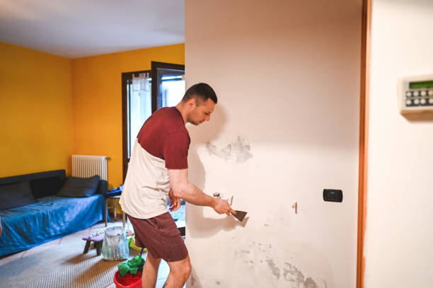Best Commercial Mold Remediation in Sam Rayburn, TX